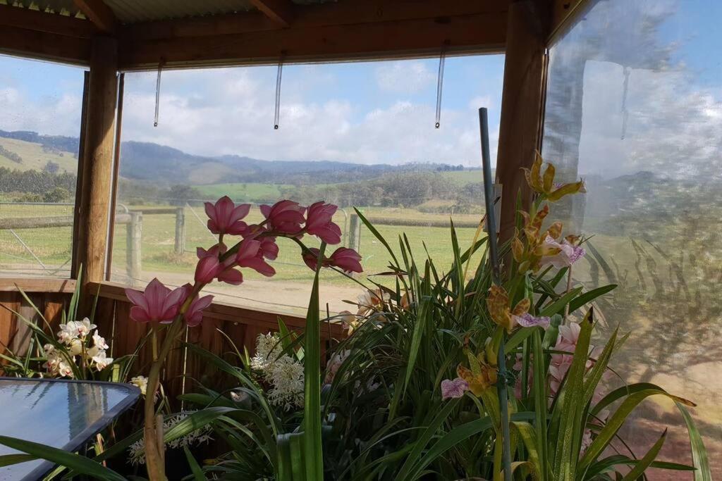 Handsome Hills Dairy Retreat Won Wron Eksteriør bilde