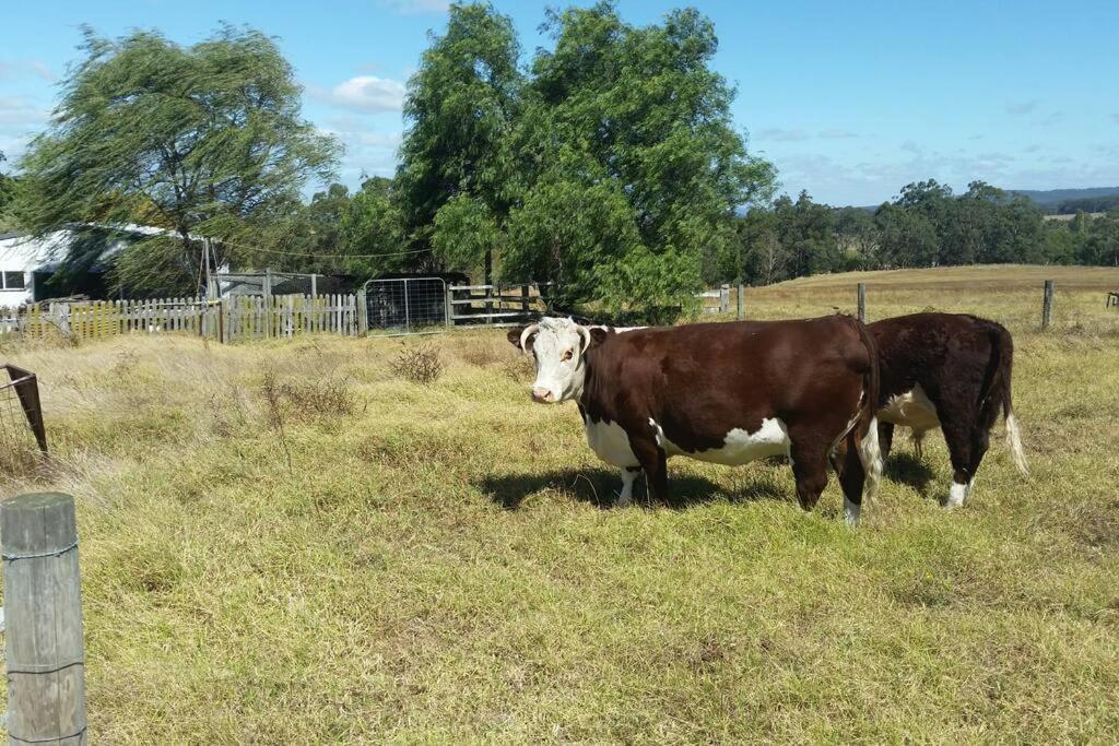 Handsome Hills Dairy Retreat Won Wron Eksteriør bilde